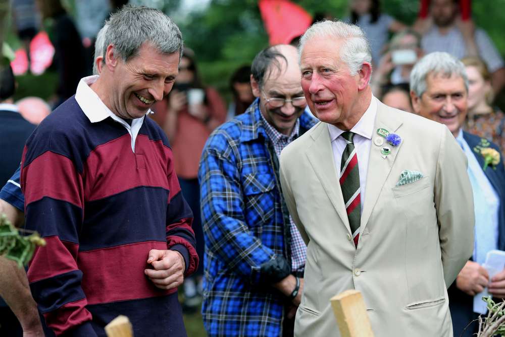Royal Cornwall Show Returns to Wadebridge for Three-Day Celebration