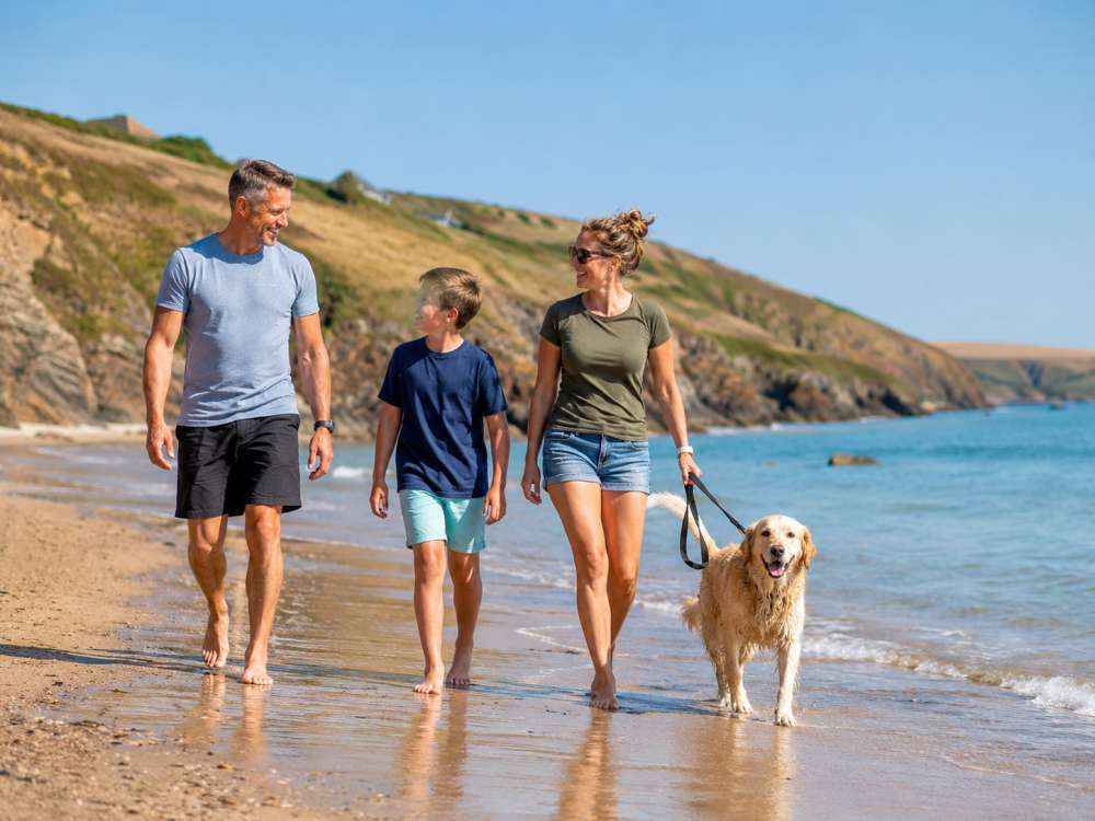 The Joys of Bringing Your Dog on Holiday to Cornwall